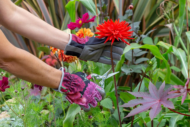 RHS British Bloom Gardening Gloves - Burgon & Ball