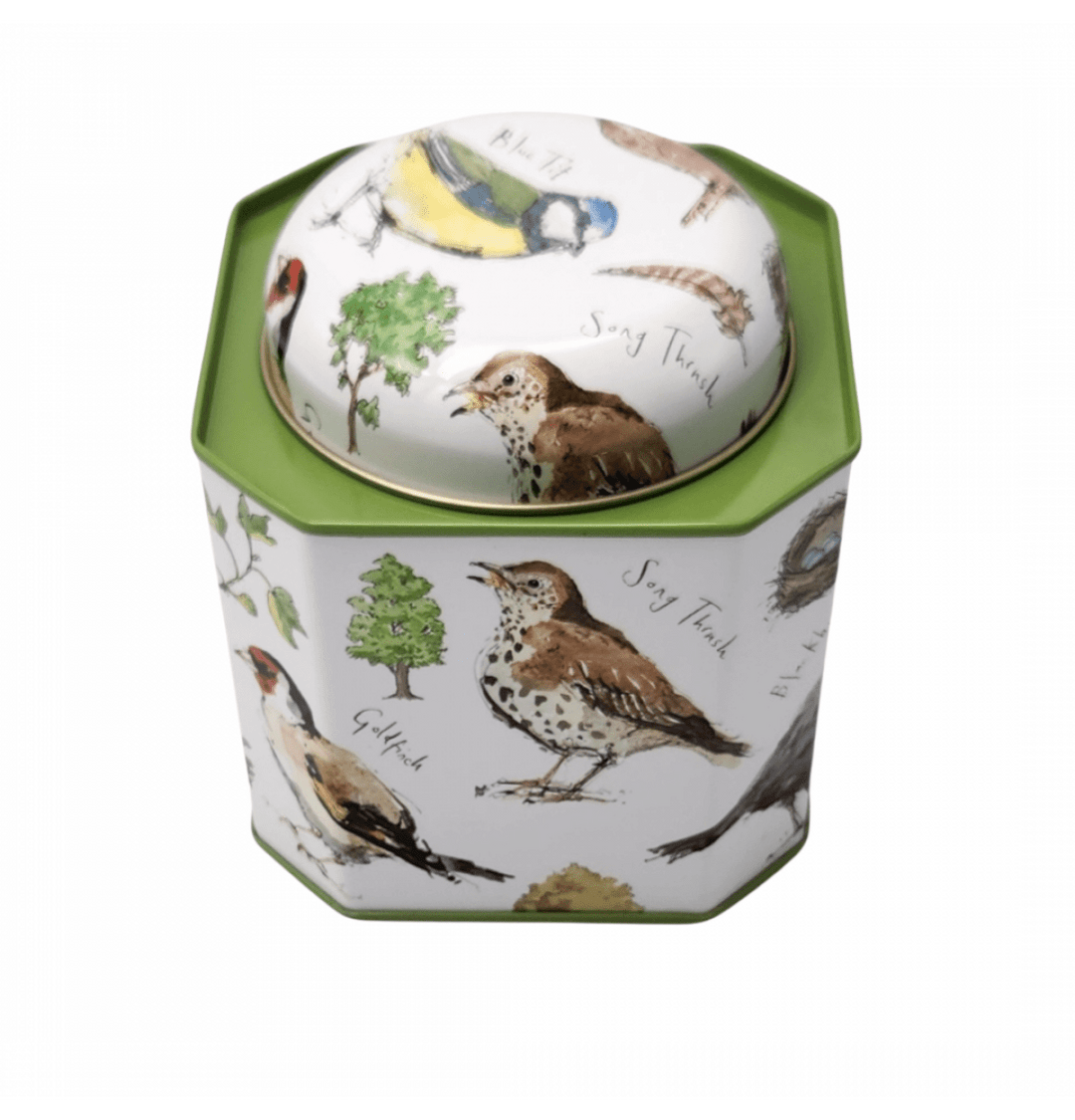 Bird Song Tin Caddy - Madeliene Floyd - Ruby's Home Store