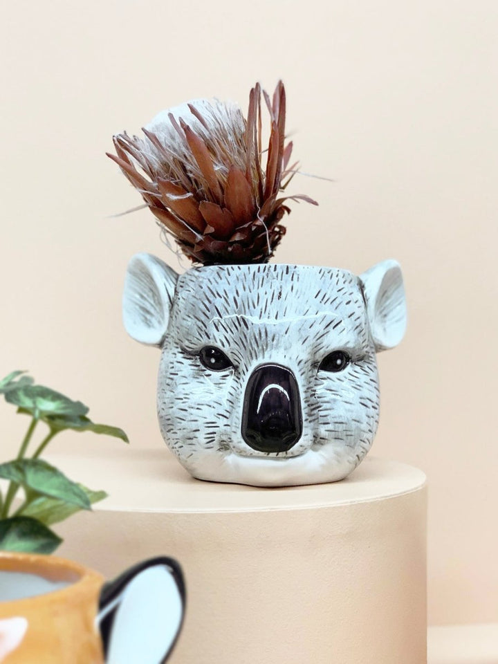 Ceramic Koala Bowl - White Moose - Ruby&