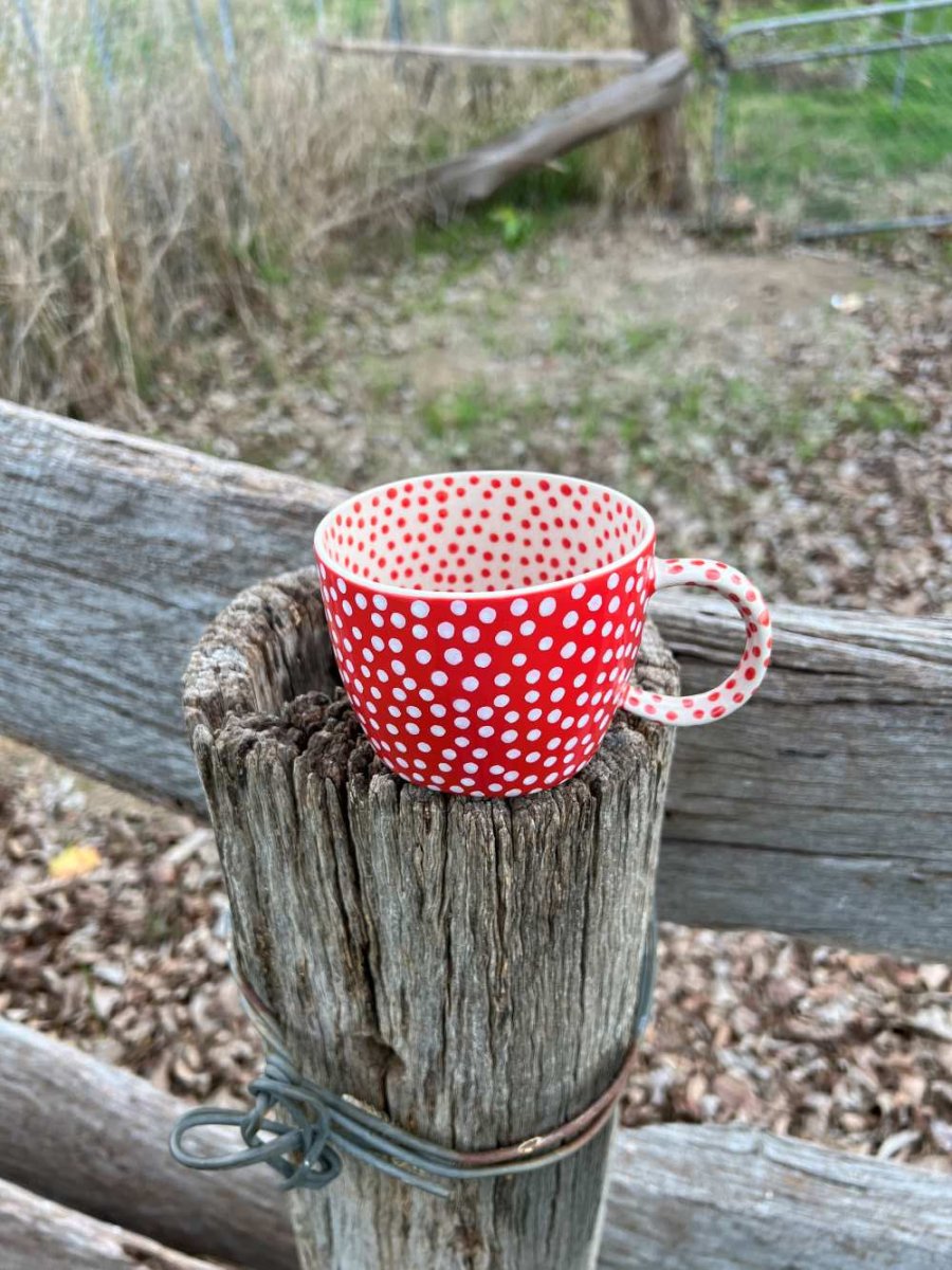 Chino Mug Red Spot - Jones & Co - Ruby's Home Store