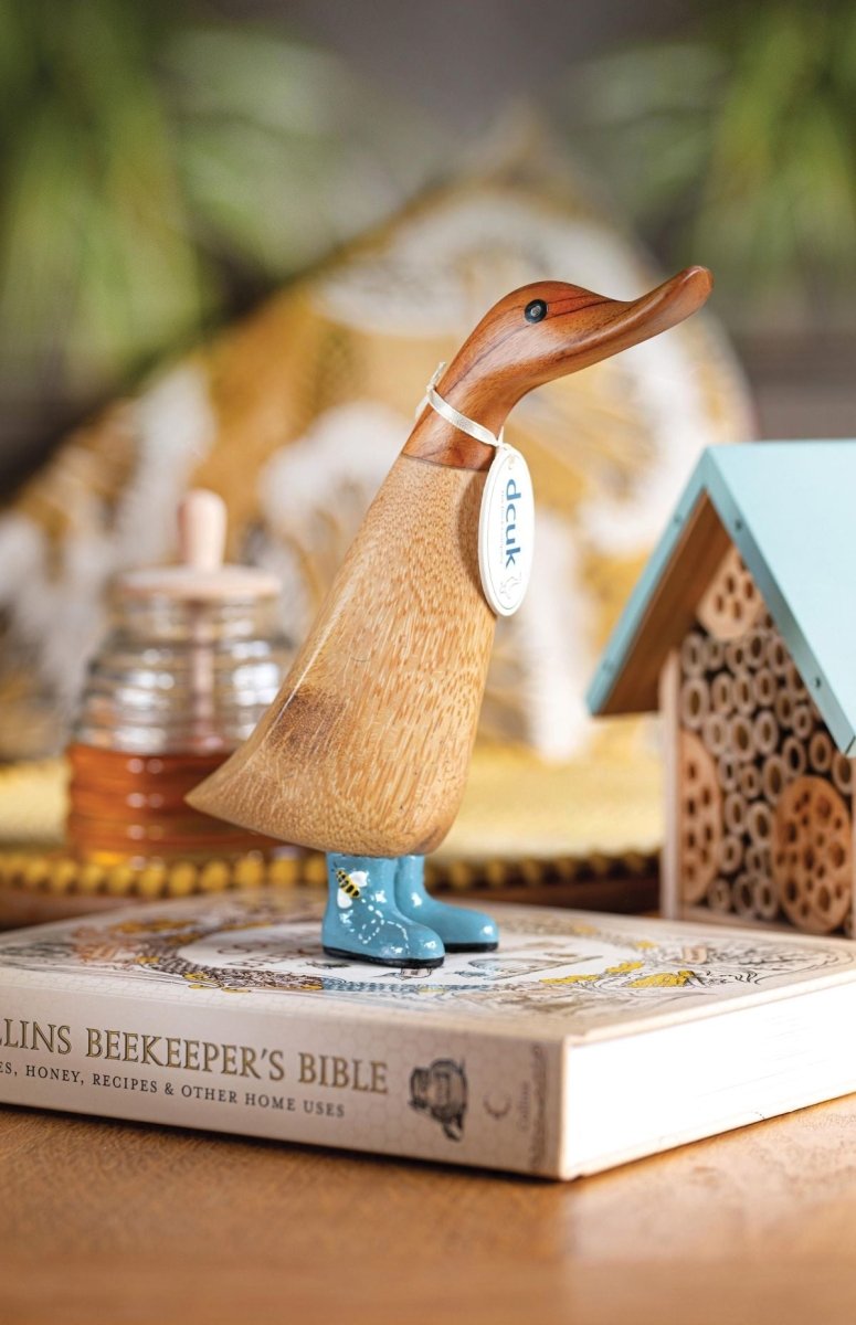 DCUK Buzzy Ducks - Ruby's Home Store