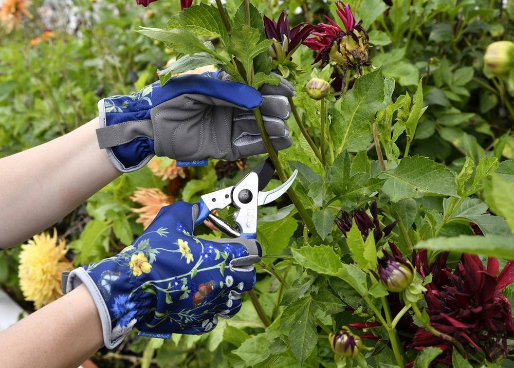 RHS British Meadow Pruner and Holster Set - Burgon & Ball - Ruby's Home Store