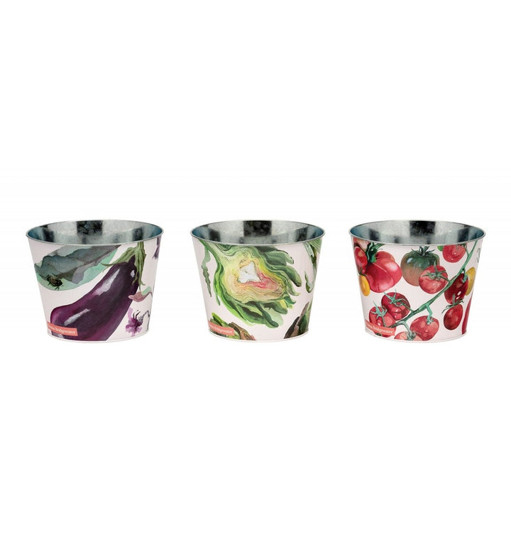 Emma Bridgewater Vegetable Large Plant Pots - Set Of 3 - Ruby's Home Store
